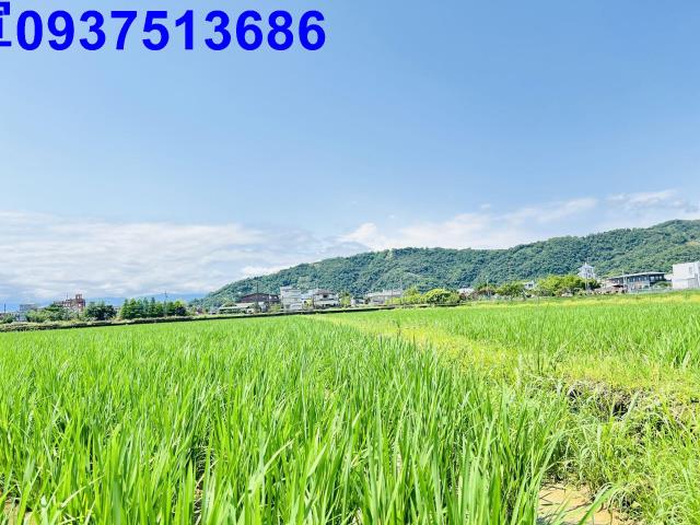 員山農地-4