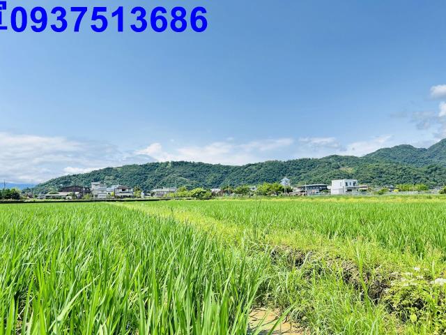 員山農地-5