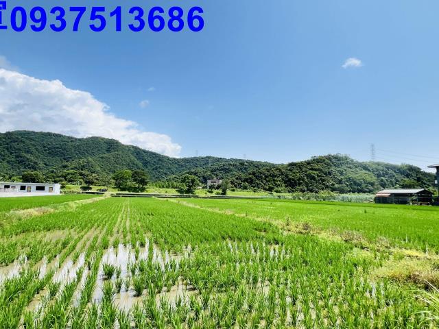 員山農地-1