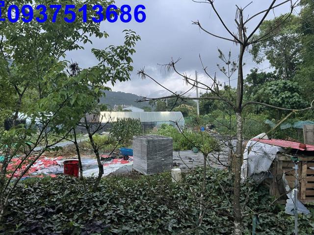 員山農地-3