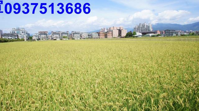 宜蘭市農地-14