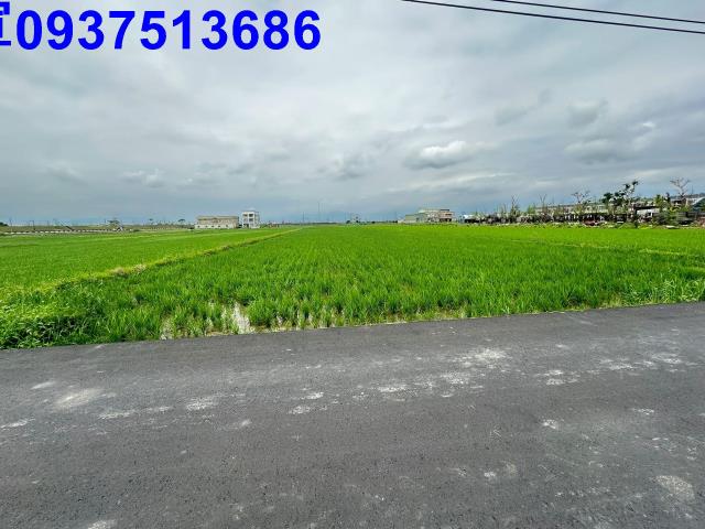 壯圍農地-5