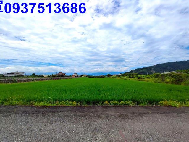 員山農地-6