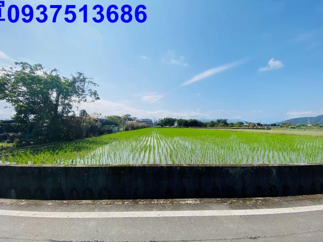員山農地-11