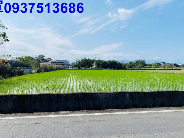 員山農地-12