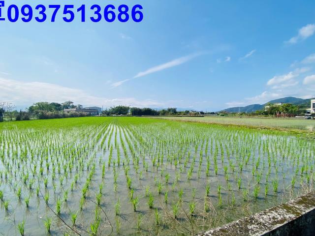 員山農地-2