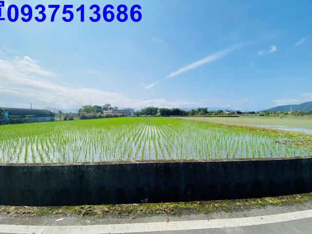 員山農地-3