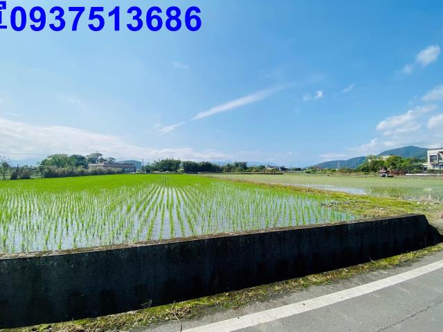 員山農地-4