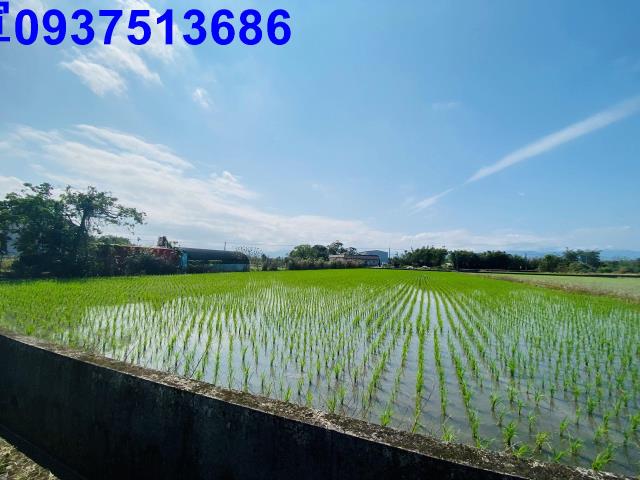 員山農地-5