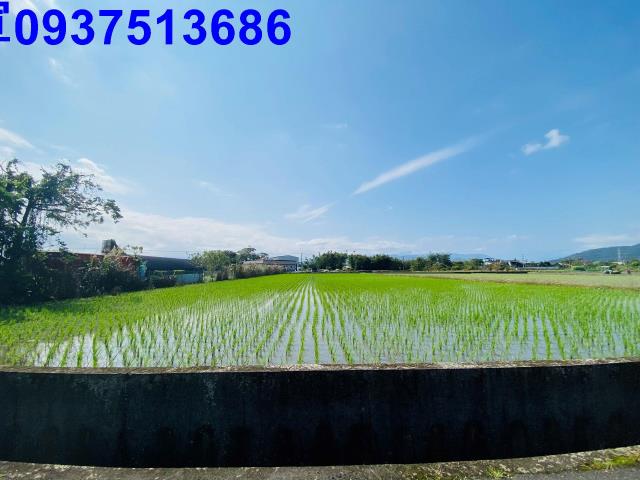 員山農地-6
