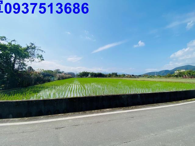 員山農地-9