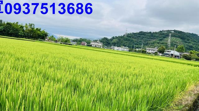 員山農地-12