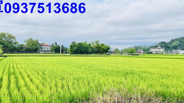 員山農地-4