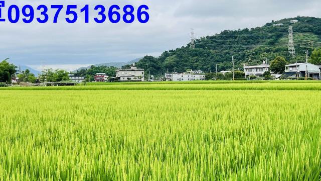 員山農地-6