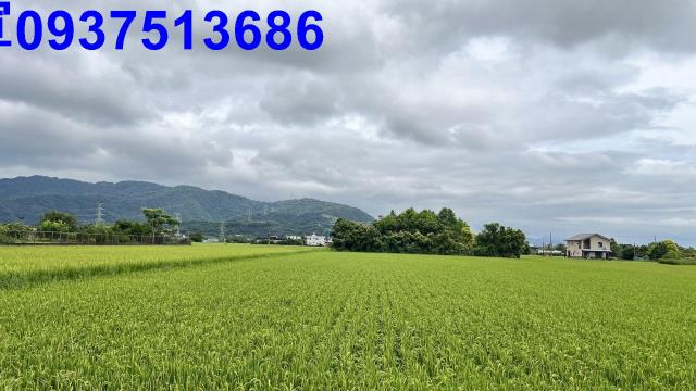 員山農地-8