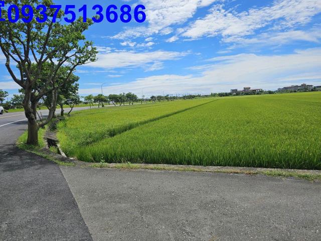 壯圍農地-10