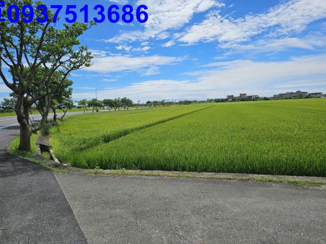 壯圍農地-14