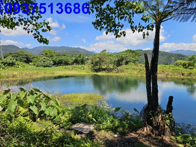 員山農地-12