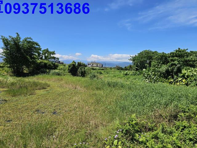 員山農地-8