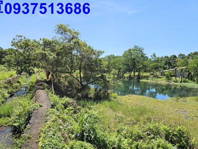員山農地-9