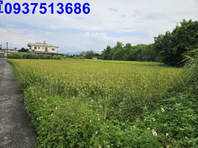 宜蘭農地-2