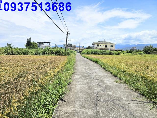 宜蘭農地-7
