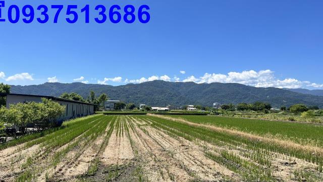 宜蘭農地-13