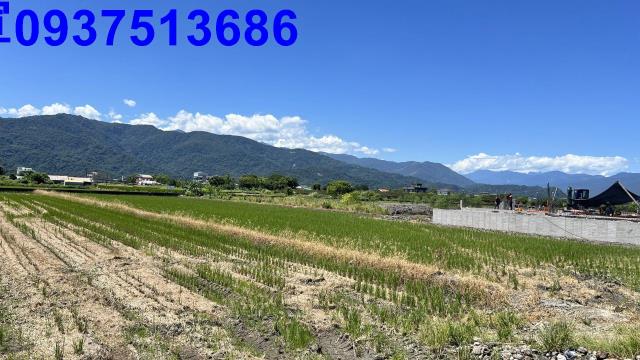 宜蘭農地-2