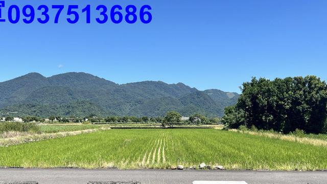 宜蘭農地-4