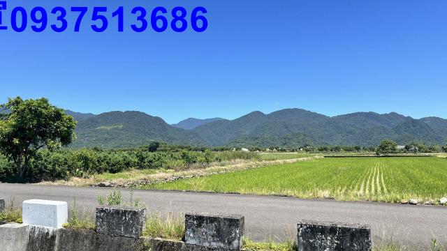 宜蘭農地-8