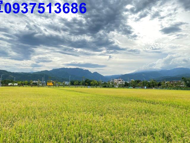宜蘭農地-5