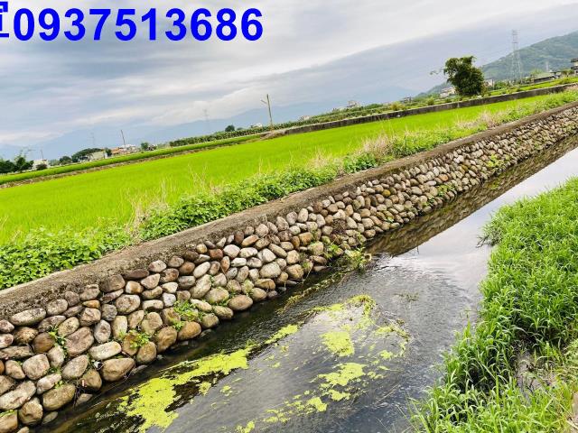 宜蘭農地-6