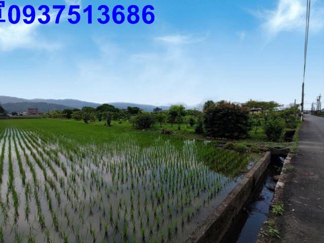 宜蘭農地-15