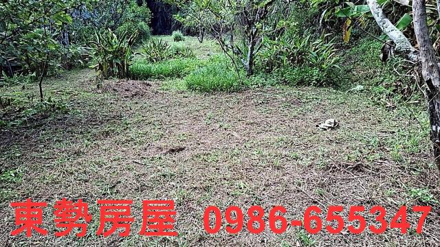 東勢農地-10