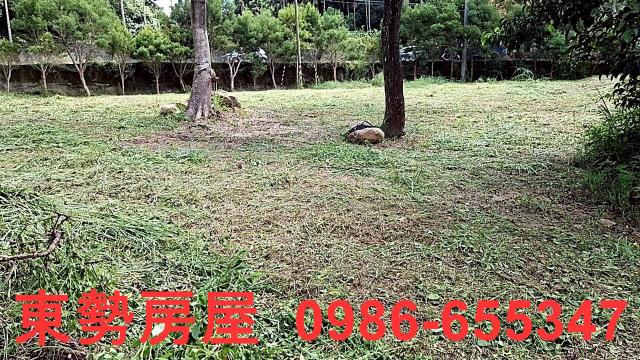 東勢農地-11