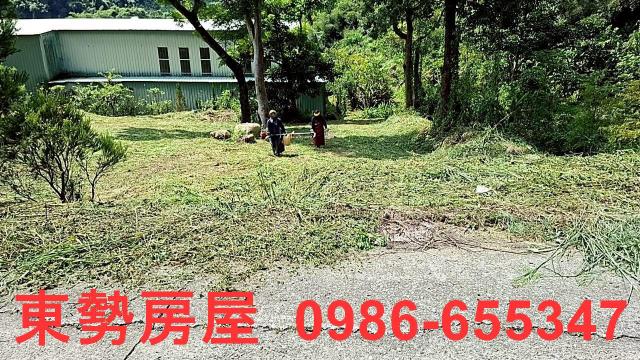 東勢農地-13
