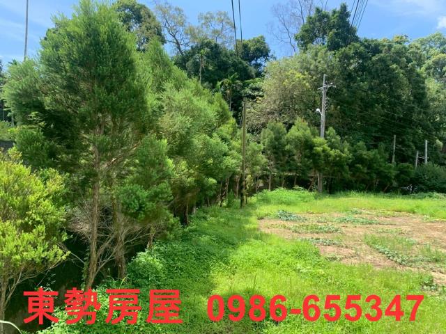 東勢農地-3