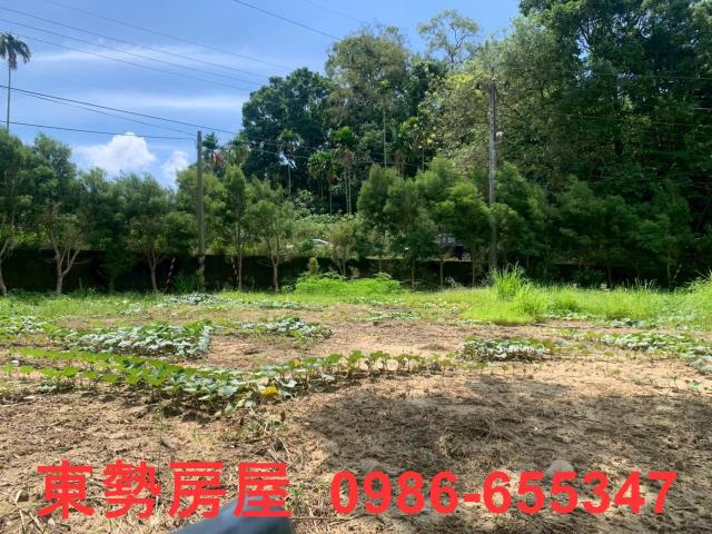 東勢農地-4