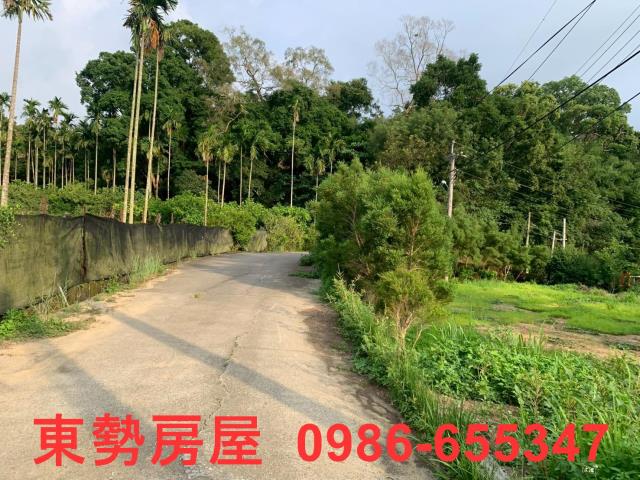 東勢農地-6