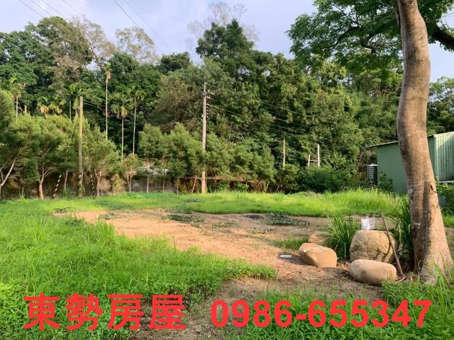 東勢農地-8