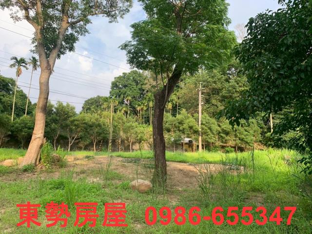 東勢農地-9