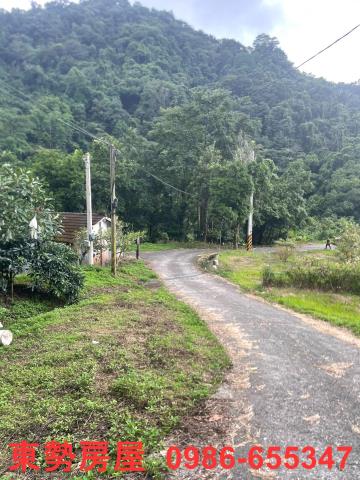 東勢農地-15