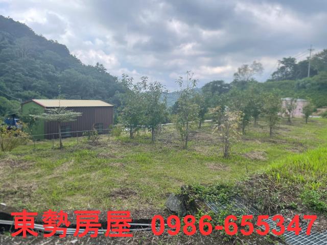 東勢農地-3