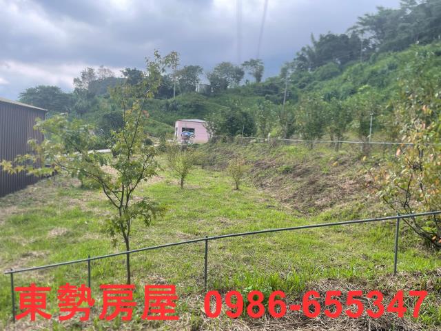 東勢農地-7