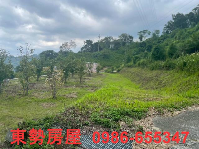 東勢農地-8