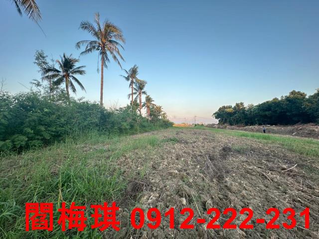 新市農地-1