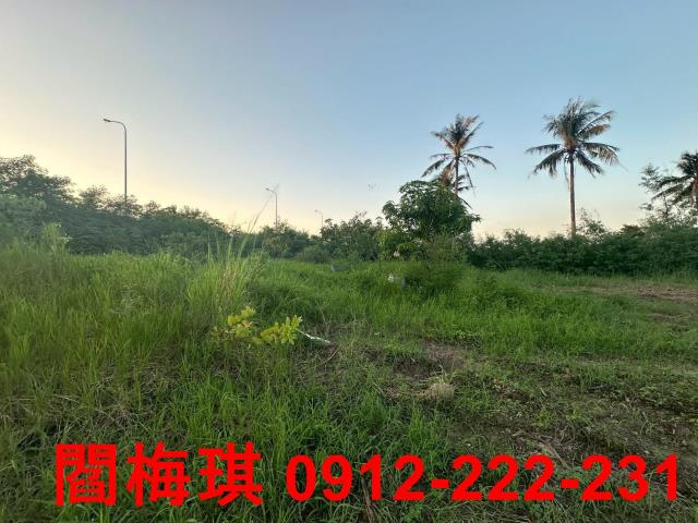 新市農地-2
