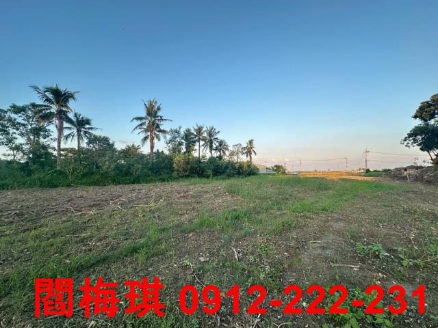 新市農地-3