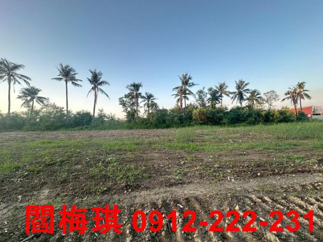 新市農地-4