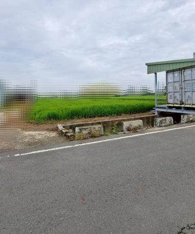 水上農地-2